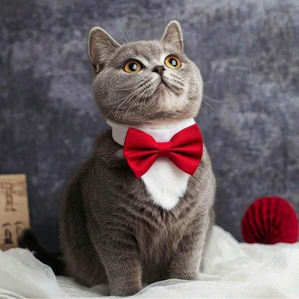 1pc Adjustable Formal Pet Bowtie Collar, Suitable For Small/Medium Dogs And Cats, For Daily Wear, Photos, Parties, Weddings, Holidays And More