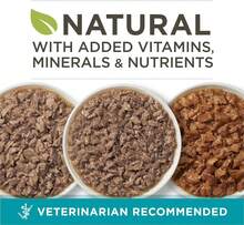 Purina ONE Natural High Protein Cat Food, Chicken Recipe In Wet Cat Food Gravy - (Pack Of 24) 3 Oz. Pull-Top Cans - Turkey, Tuna, and Chicken - View 2