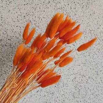 60 piezas de adornos colgantes estilo bohemio con flores secas de hierba de pampa y cola de conejo para decoración de boda, hogar, fiesta, arreglos DIY, festival de cosecha, Halloween, Navidad