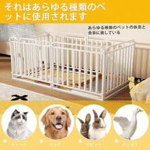 Pet Fence