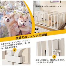 Pet Fence