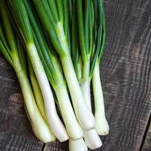 263 Pieces Japanese Shallot, Welsh Shallot, Shallot