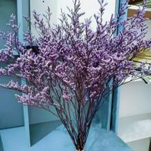 10-12 Stängel erhaltener natürlicher Zitronengrasstrauß, echte frische Caspia Bellidifolium, Lavendel, Schleierkraut, geeignet für Hochzeit, Geburtstag, Heimdekoration, Muttertag, Valentinstag, ländliche Feiertage (Lila)