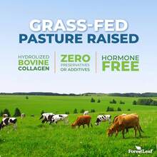 ForestLeaf Multi Collagen Pills With Hyaluronic Acid + Vitamin C | Hydrolyzed Collagen Supplements For Women Or Men | Multi Collagen Capsules Peps For Skin, Wrinkles, 120 Caps - Unflavored 120 Capsules - View 4