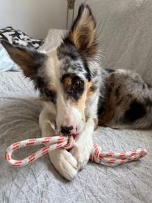 [1pc Durable Dog Toy] 1pc Durable Braided Rope Dog Toy | Interactive Chew And Tug Play, All-Breed Friendly | Random Color Design, Large Breeds, Puppy Toys