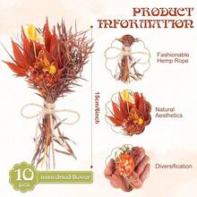 Dorm Room Decor 10 Pack Fall Decor Dried Flowers Bouquets Burnt  Flowers With Stems Natural Dried Flowers For Small Vase Fall Decorations For Home Floral Arrangement For Autumn Harvest Thanksgiving Table Decor