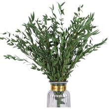 Real Eucalyptus Stems Greenery Decor 20PCS 17" Dried Willow Eucalyptus Plant Preserved Greenery Stems For Home Vase Filler Wedding Flowers Arrangement Spring Decorations