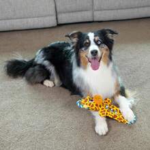 Outward Hound Ropiez Rope Interactive Dog Tug Toy For Tugging Squeaky Fun, 15.4 Inch Giraffe, Yellow, Small - 21吋藍龍 - 查看 11