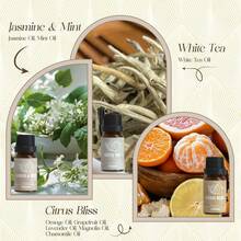 Black Friday1ARVIDSSON Hotel Diffuser Oils Gift Set, Hotel Scent Essential Oils For Diffuser, Luxury Fragrance Oil Blend - Jasmine & Mint, White Tea, Citrus Bliss, M-Way, Fancy Lobby, Gift For Women And Men - Cà phê - Xem 11