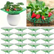 10pcs Green Strawberry Support Racks - Rust Resistant Gardening Accessories With Open Grid Design, Promoting Air Circulation And Preventing Rotting For Healthy Fruit Growth - Ideal For Gardening And Plant Enthusiasts, Helpful Planting Aid