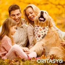 Pink Dog Bandanas, Cute Ghost-Pack Reversible Pet Scarves, Premium Fabric, Pumpkin Bandana Boys Girls Dogs (X-Large, Style)