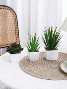 1/3 Stücke 3-5 Zoll (H) Mini Sukkulenten Topfpflanzen für Zuhause, Schlafzimmer, Wohnzimmer, Hochzeit, Geburtstag, Abschluss, Party und Tischdekoration