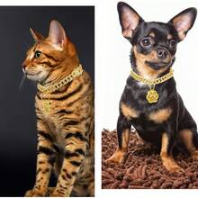 Collar de gato con diamantes, collar cubano con purpurina, metal para caminar con hebilla segura, collar de gato y mascota con eslabones de pata, accesorios de joyería con campana de identificación para gatos pequeños (dorado, 10 pulgadas) - dorado - Ver 5