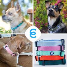 Pet Basic Dog Collars - Fuchsia Pink - View 8