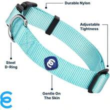 Pet Basic Dog Collars - Mint Blue - View 3