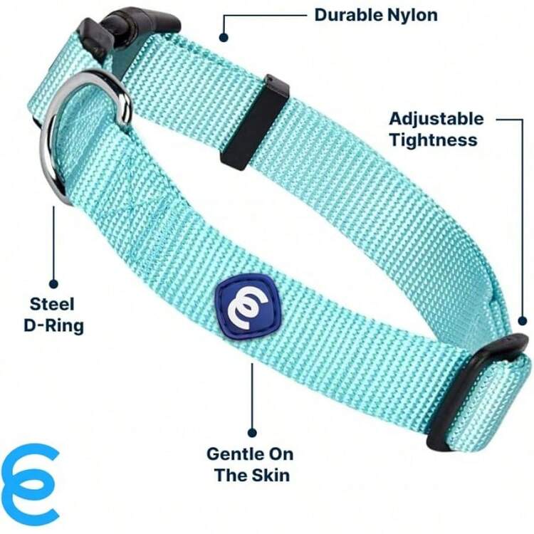 Pet Basic Dog Collars - Mint Blue - View 3