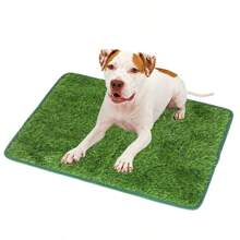 Pet Potty Training Pad - Artificial Grass Puppy Pee Pad, Realistic Dog Lawn Mat For Indoor/Outdoor Use, Washable Bathroom Turf For Cats & Dogs, Anti-Slip Pet Toilet Mat