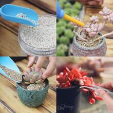 Succulent Plants Tools,15Pcs Mini Garden Tools Set Mini Garden Hand Transplanting Succulent Tools Gardening Hand Tools Indoor Miniature Fairy Garden Plant Care Potting,Cactus Kit