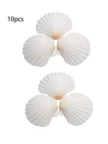 20 piezas de conchas de vieira naturales, conchas de mar blancas, adecuadas para manualidades DIY y decoración del hogar - Blanco - Ver 11