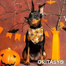 Pink Dog Bandanas, Cute Ghost-Pack Reversible Pet Scarves, Premium Fabric, Pumpkin Bandana Boys Girls Dogs (X-Large, Style)