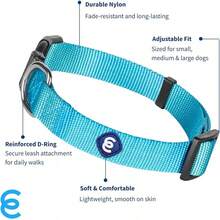 Collar para perros pequeños Blueberry Pet Essentials en Very Berry |   Correa de nylon ajustable y ecológica duradera |   Collar Clásico para Perros Pequeños, Mascotas Machos y Hembra - Turquesa - Ver 2
