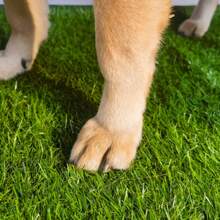 Pet Potty Training Pad - Artificial Grass Puppy Pee Pad, Realistic Dog Lawn Mat For Indoor/Outdoor Use, Washable Bathroom Turf For Cats & Dogs, Anti-Slip Pet Toilet Mat