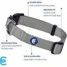 Collar para perros pequeños Blueberry Pet Essentials en Very Berry |   Correa de nylon ajustable y ecológica duradera |   Collar Clásico para Perros Pequeños, Mascotas Machos y Hembra - Gris pedernal - Ver 2
