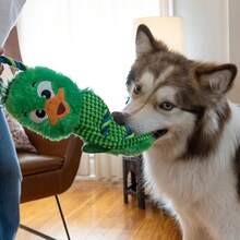 Outward Hound Ropiez Rope Interactive Dog Tug Toy For Tugging Squeaky Fun, 23.6 Inch Mallard, Green, Large - Vịt trời xanh 23" - Xem 6