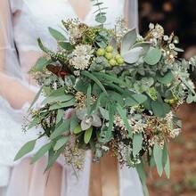 Real Eucalyptus Stems Greenery Decor 20PCS 17" Dried Willow Eucalyptus Plant Preserved Greenery Stems For Home Vase Filler Wedding Flowers Arrangement Spring Decorations