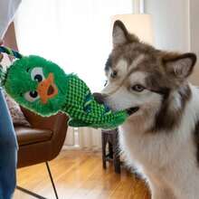 Outward Hound Ropiez Rope Interactive Dog Tug Toy For Tugging Squeaky Fun, 23.6 Inch Mallard, Green, Large - 21吋藍龍 - 查看 11