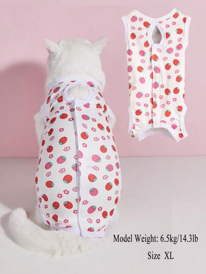 Soft & Thin Cat Spaying Clothes, Cat Spaying/Weaning Surgery Suit, 4-Leg Warming & Anti-Licking Outfit