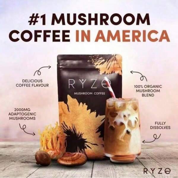 RYZE Organic Mushroom Coffee -6Adaptogenic Mushrooms + MCT Oil ForEnergy, Focus & Gut Support |InstantCoffeel30 Servings