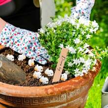 10/50/100 Pcs Mini Cow Figurines Mini Resin Cow Miniature Animals Figurines Fairy Garden Miniature Moss Landscape DIY Crafts