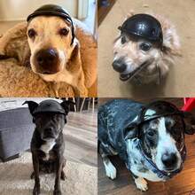 iDestry 小型犬头盔，适合小型犬，带耳孔可调节带子的狗帽，户外摩托车骑行宠物头盔帽子，狗猫通用摩托车头盔，酷炫配件，钩环户外透气可爱宠物用品 - 彩色 - 查看 10