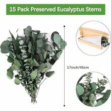 Real Eucalyptus Stems Greenery Decor 20PCS 17" Dried Willow Eucalyptus Plant Preserved Greenery Stems For Home Vase Filler Wedding Flowers Arrangement Spring Decorations