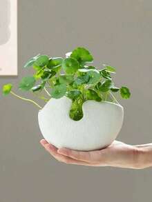 1个北欧风格装饰蛋壳花盆，哑光白色纹理表面，独特的镂空设计。非常适合摆放多肉植物/干花，并为家庭办公室增添装饰元素。也可用于收纳化妆品和化妆刷。 - 彩色 - 查看 9