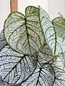 Planta Artificial Caladium Grande E Vaso Completo Decoração