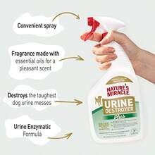 Natures Miracle Urine Destroyer Plus Dog 32 Ounces Enzymatic Formula ReadytoUseRR8 - Spray - View 6