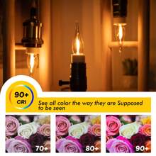 6 件装 C22T 0.5W 烛光 LED 灯泡 E14 烛台底座 220V 复古金色玻璃暖白 2200K 7 瓦可调光装饰爱迪生迷你灯泡适用于大厅客厅吊灯 - E14 220V-240V - 查看 7