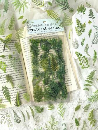 1 包 6 件复古植物叶子和蕨类植物 PET 贴纸，DIY 剪贴簿工艺材料