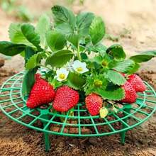 10pcs Green Strawberry Support Racks - Rust Resistant Gardening Accessories With Open Grid Design, Promoting Air Circulation And Preventing Rotting For Healthy Fruit Growth - Ideal For Gardening And Plant Enthusiasts, Helpful Planting Aid