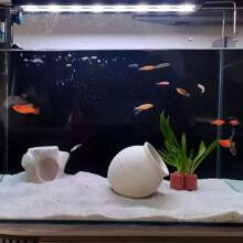 Small/Medium Aquarium Decor Fish Hiding Cave, Breeding Ceramic Pot Ornament