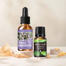 1 Stück reine natürliche ätherische Öle, geeignet für Schlafzimmer, Bad und verschiedene Umgebungen, duftende ätherische Öle für Diffuser, Aromatherapie-Kerzen, Aromatherapie-Ofen, Diffusierstein, Luftbefeuchter, Auto-Aromatherapie, Haushaltsaromatherapie