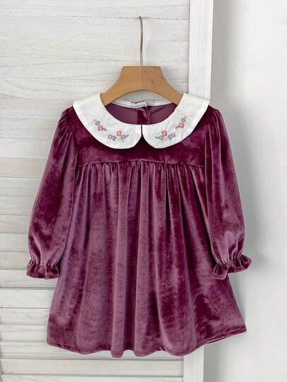 Girls' Vintage Style Embroidered Peter Pan Collar Velvet Dress, Princess Dress For Children