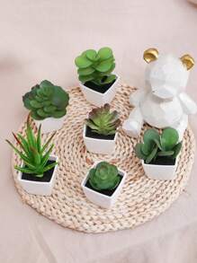 1/3 Stücke 3-5 Zoll (H) Mini Sukkulenten Topfpflanzen für Zuhause, Schlafzimmer, Wohnzimmer, Hochzeit, Geburtstag, Abschluss, Party und Tischdekoration