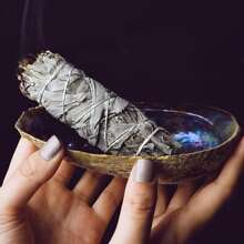 Remium White Sage And Palo Santo, Ideal For And Energetic (Pack Of1/ 3, White Sage And Pack Of 1/3, Palo Santo)Meditation & House Cleaning,Spiritual Gift