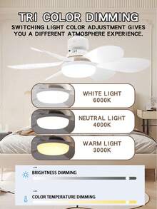 52cm Ceiling Fan With Light, 40W LED, E27 Bulb, 3-Speed, Dimmable (3000K-6500K), Remote Control, Suitable For Living Room, Kitchen, Office - White & Color - one-size - View 4