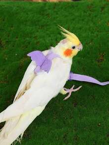 1 件装鹦鹉背带可调节宠物鸟背带牵引绳户外飞行训练绳牵引绳防咬弹性带适用于鹦鹉凤头鹦鹉金刚鹦鹉 - 彩色 - 查看 4