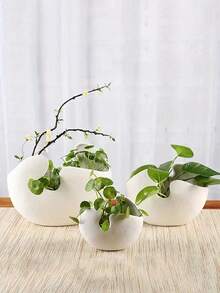 1个北欧风格装饰蛋壳花盆，哑光白色纹理表面，独特的镂空设计。非常适合摆放多肉植物/干花，并为家庭办公室增添装饰元素。也可用于收纳化妆品和化妆刷。 - 彩色 - 查看 4