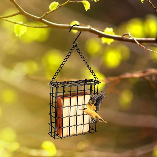 1pc Outdoor Hanging Square Metal Wire Mesh Feeder For Bread, Fruit And Water, Bird Feeder